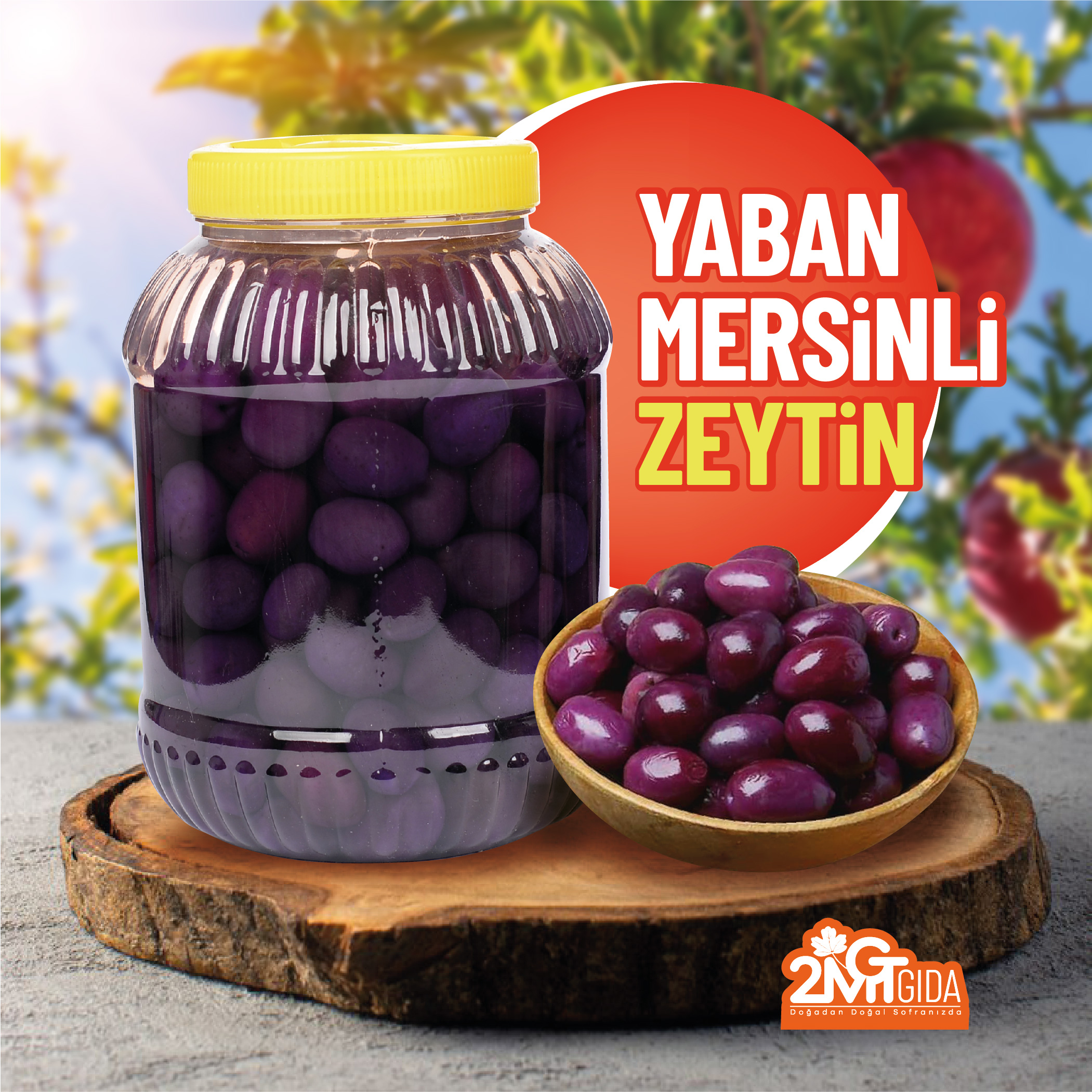 Yaban Mersinli Zeytin